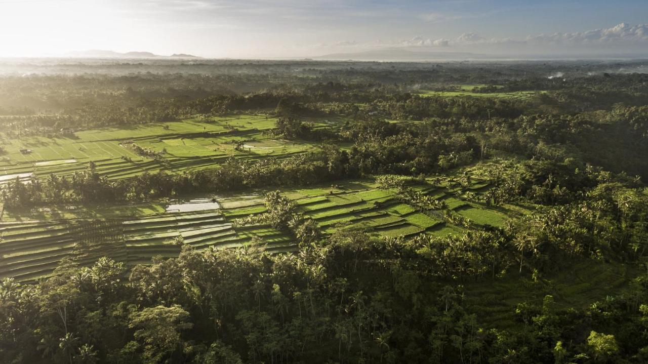 Como Shambhala Estate Payangan Exterior photo