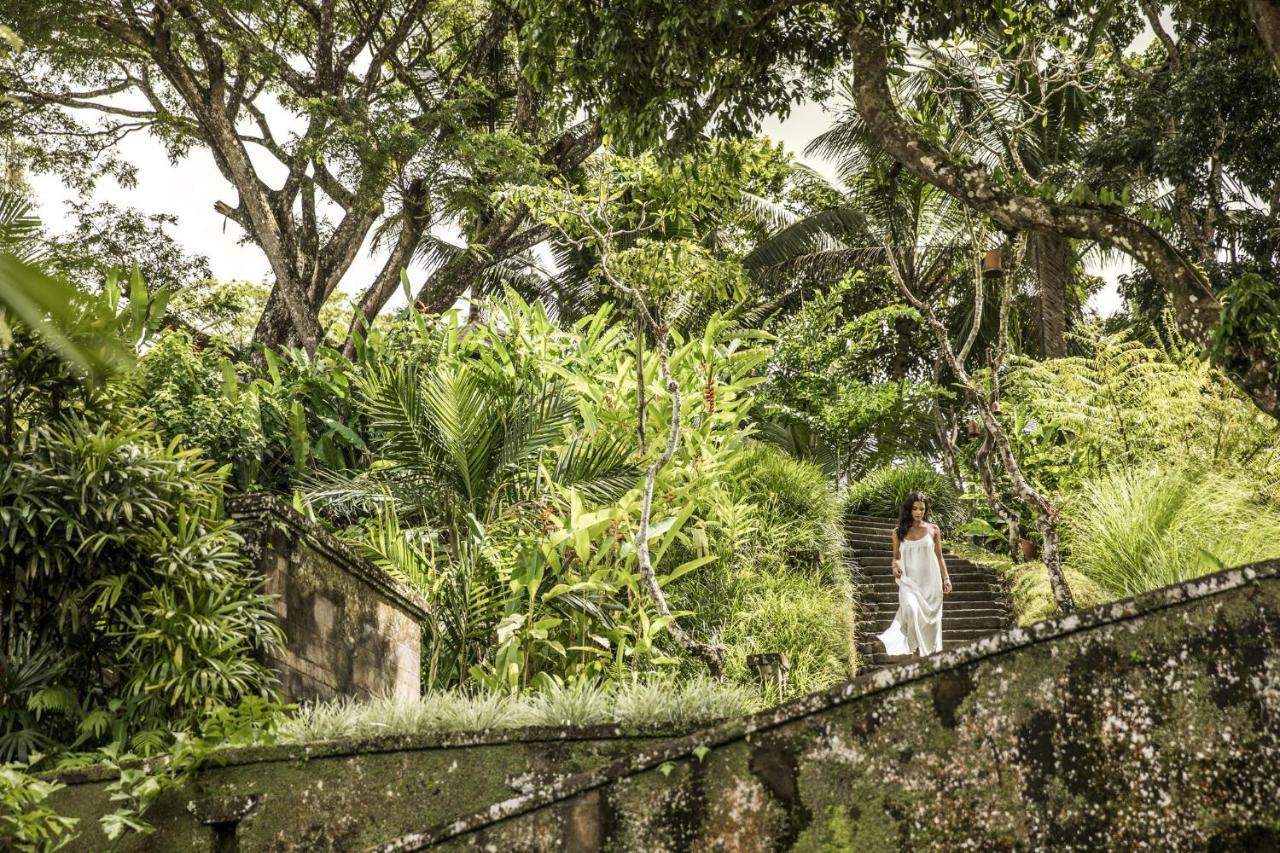 Como Shambhala Estate Payangan Exterior photo